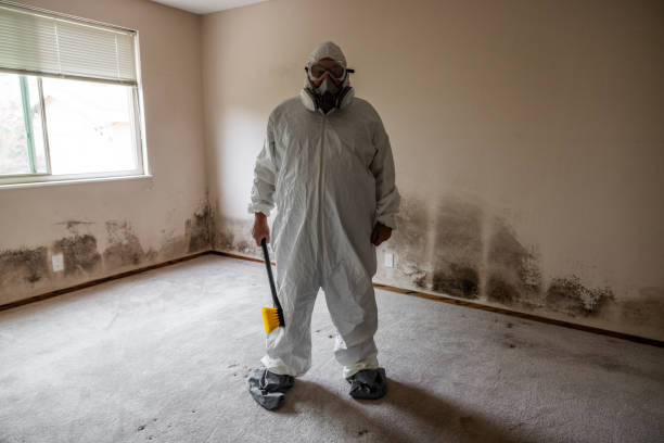 Best Mold Cleaning Services  in Pine Island, TX